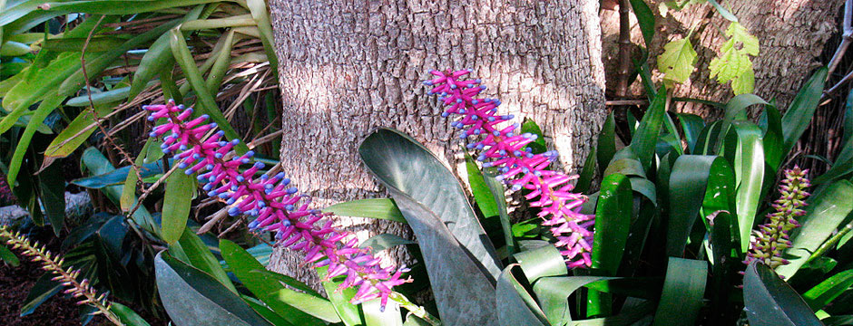 Sustainable landscape design Sydney