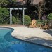 Swimming pool family friendly design Northern Suburbs