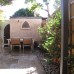 Flowering plants for Sydney courtyards