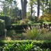 Planting design Killara