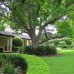 Formal garden design Sydney