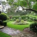 garden path design Sydney