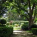 Classical garden design North Shore