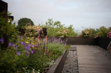 Rooftop garden design