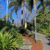 Frontyard garden design