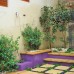 Colourful courtyard design