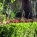 Northern Beaches formal garden design