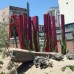 Contemporary garden sculpture Sydney