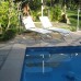 Swimming pool design North Shore