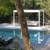 Pool landscaping North Shore Sydney