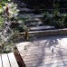 Landscaping with timber decking and sandstone