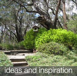 ideas-and-inspiration