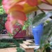 Courtyard water feature