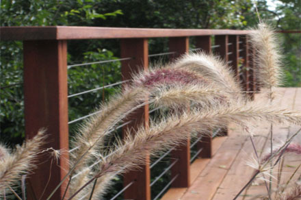 landscape-design-ornamental-grasses