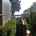 Contemporary landscape design Northern Beaches