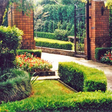 Garden design Wahroonga