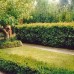 Formal landscape design North Shore