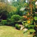 Formal garden design North Shore